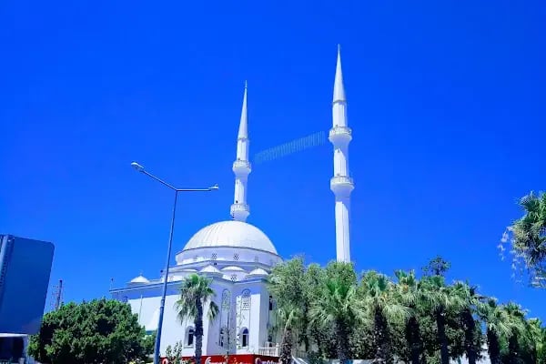 Turgutreis Cumartesi Pazari - Resim 15