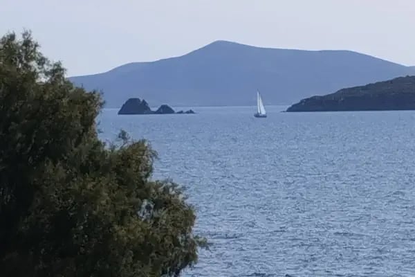 Turgutreis Cumartesi Pazari - Resim 7