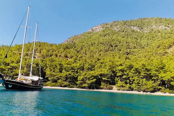 Admiral Tours - Resim 5