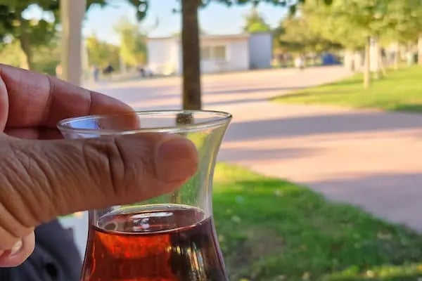 Akpınar Bölge Parkı - Resim 15