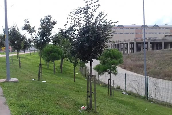 Akpınar Bölge Parkı - Resim 7