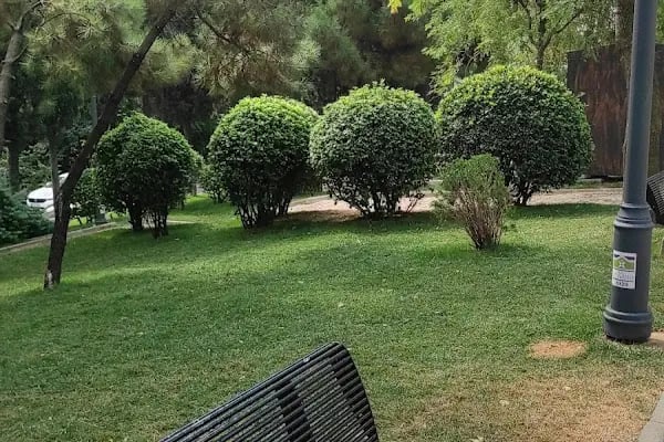 Karadeniz Parkı - Resim 8