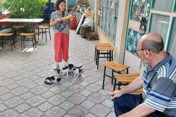 Paşaköy köftecisi Recep Çılgın - Resim 6