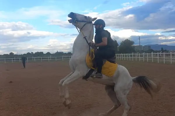 Aydın Atlı Spor Kulübü - Resim 14