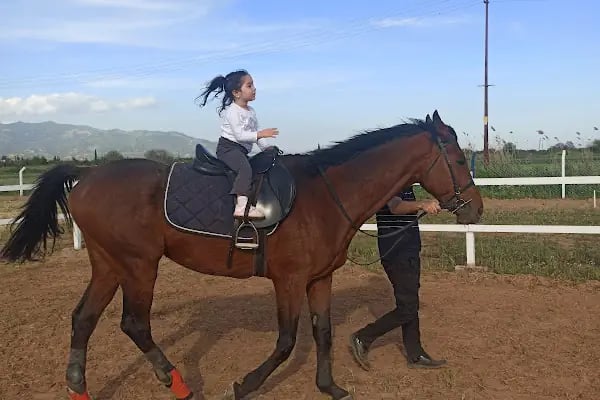 Aydın Atlı Spor Kulübü - Resim 17