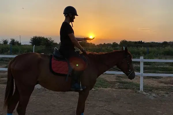 Aydın Atlı Spor Kulübü - Resim 19