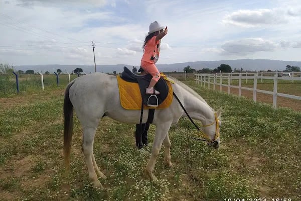 Aydın Atlı Spor Kulübü - Resim 1