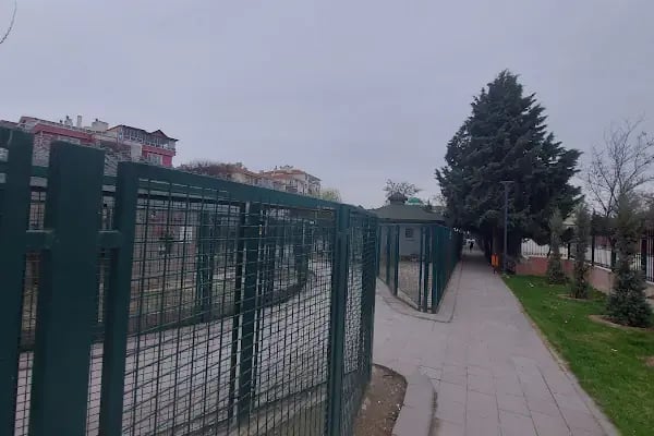 Sincan Hayvanat Bahçesi - Resim 11