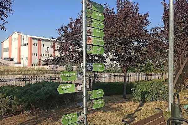 Sincan Hayvanat Bahçesi - Resim 17