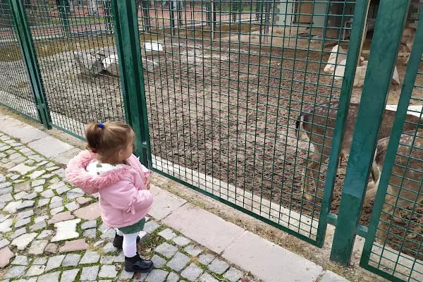Sincan Hayvanat Bahçesi - Resim 5