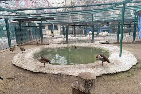 Sincan Hayvanat Bahçesi - Resim 4
