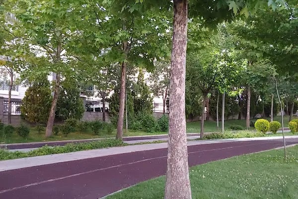 Bisiklet parkı (Uçaklı Park) - Resim 16