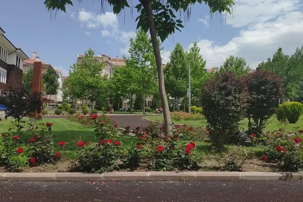 Bisiklet parkı (Uçaklı Park) - Resim 2