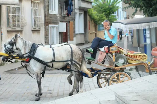 Heybeliada Vapur İskelesi - Resim 20