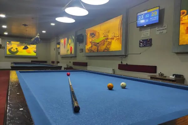 Van Elit Bilardo - Resim 12
