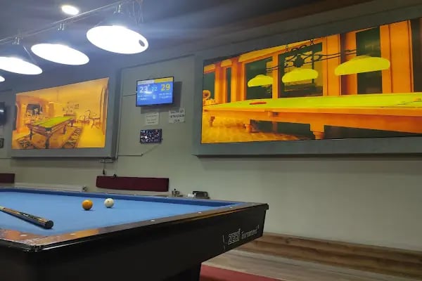 Van Elit Bilardo - Resim 13