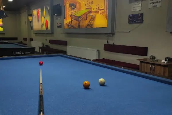 Van Elit Bilardo - Resim 14
