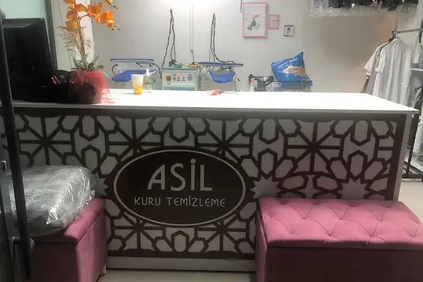 asilkurutemizleme - Resim 3