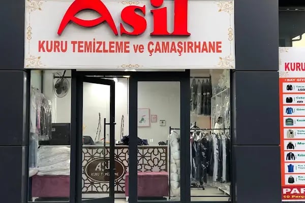 asilkurutemizleme - Resim 4
