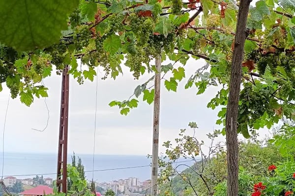 Dürbinar Mahallesi Abeda Camii - Resim 8