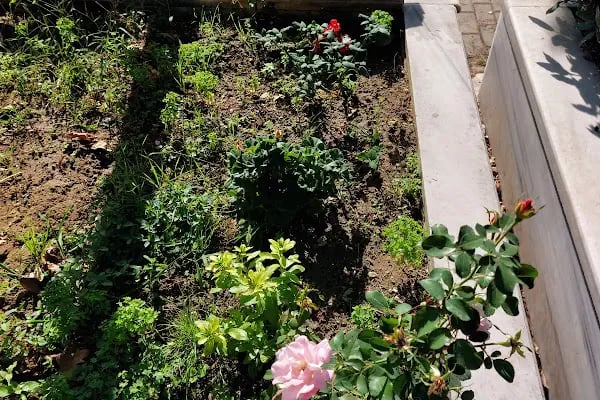 Timurtaş UÇAR Hocaefendi Kabri - Resim 13