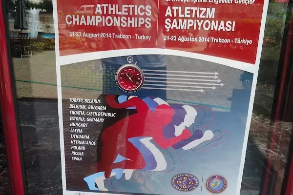 Söğütlü Atletizm Stadı - Resim 20