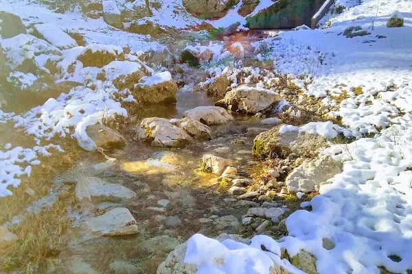Başpınar - Resim 1
