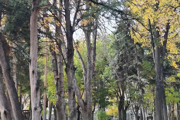 Ankara Universitesi Tıp Fakültesi Cebeci Çocuk Hastanesi - Resim 5