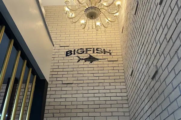 Big Fish Tolca - Resim 13