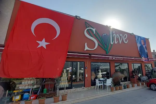 Solive Zeytin - Resim 15