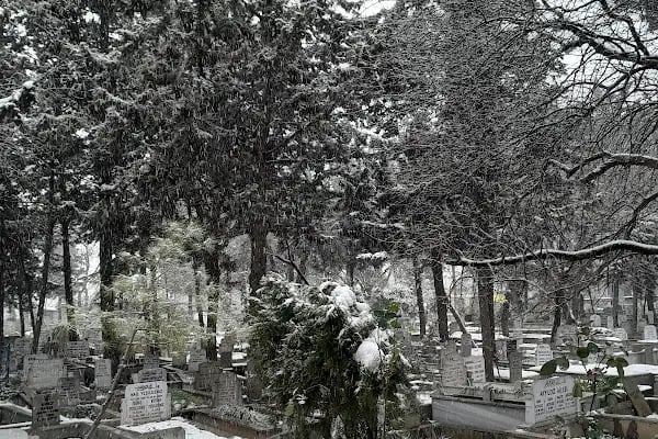 Yenibosna Mezarlığı - Resim 5
