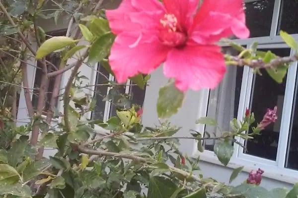 Saklı Bahçe Restaurant Ve Kahvaltı Bahçesi - Resim 9