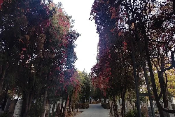 Üçler Mezarlığı - Resim 13