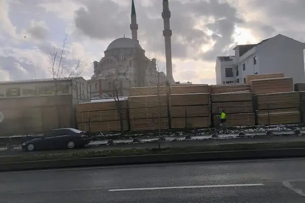 Ege Orman Ürünleri - Resim 2