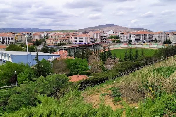 Ahi Stadyumu - Resim 13