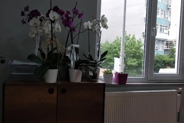 Çerkezköy Psikiyatri Kliniği, Dr.Filiz Alkan Çiçek - Resim 7