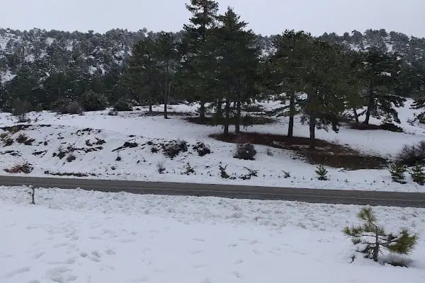 Çameli Taş Konaklar - Resim 19