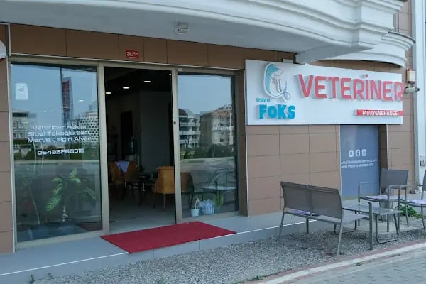 FOKS BEŞEVLER VETERİNER KLİNİĞİ - Resim 9