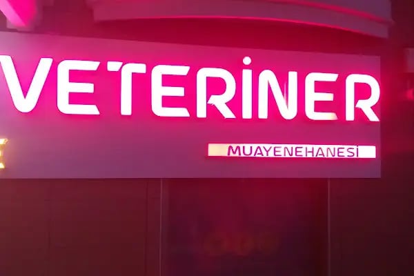 FOKS BEŞEVLER VETERİNER KLİNİĞİ - Resim 16
