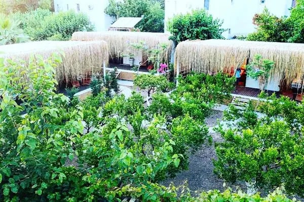 Pod Bodrum Tiny House - Resim 4