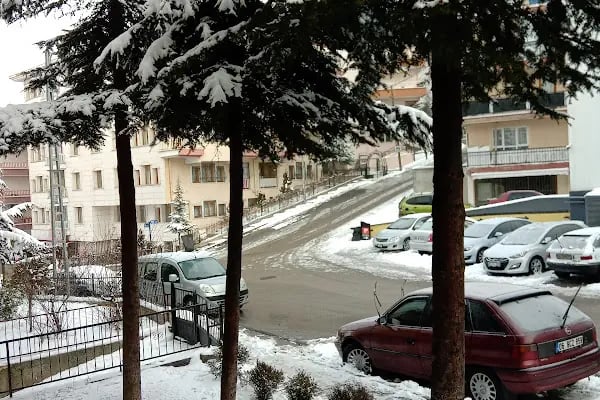 TÜCCAR TERZİ HASAN BAY BAYAN TERZISI (Murat - Resim 11
