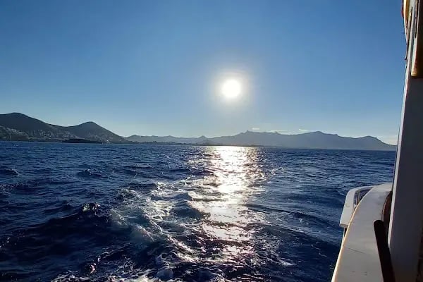 Amiral turgutreis boat - Resim 18