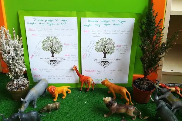 Özel Çorlu Bilim ve Sanat Anaokulu - Resim 6