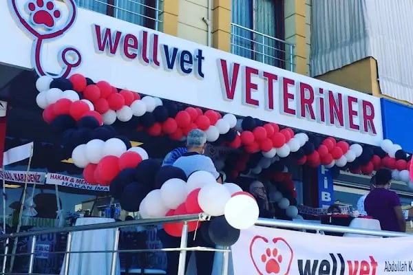 WellVet Veteriner Sağlık Merkezi - Resim 15
