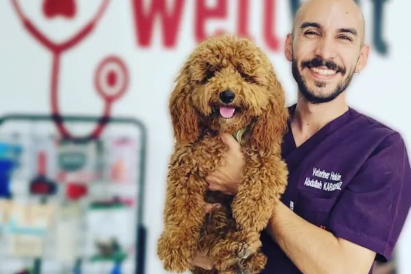 WellVet Veteriner Sağlık Merkezi - Resim 1