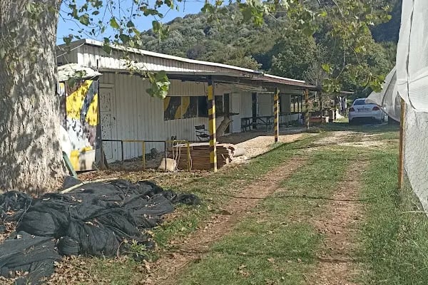 TÜRKİYE’NİN EN BÜYÜK PAINTBALL SAHASI TAKTIKAL PAINTBALL - Resim 15