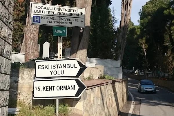 Bağçeşme Mezarlığı - Resim 12