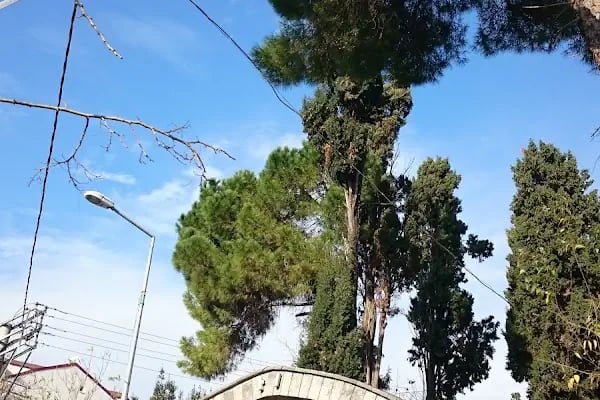 Bağçeşme Mezarlığı - Resim 5
