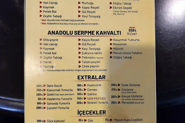 Van Menceli - Resim 16