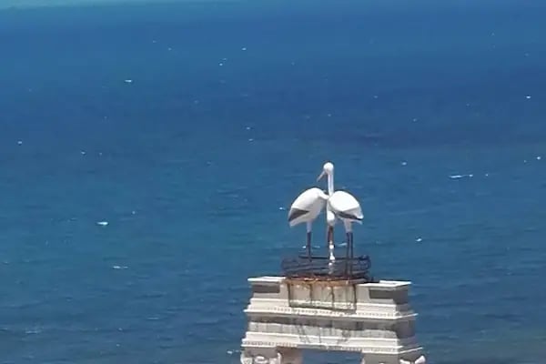 Didim Aquapark - Resim 12